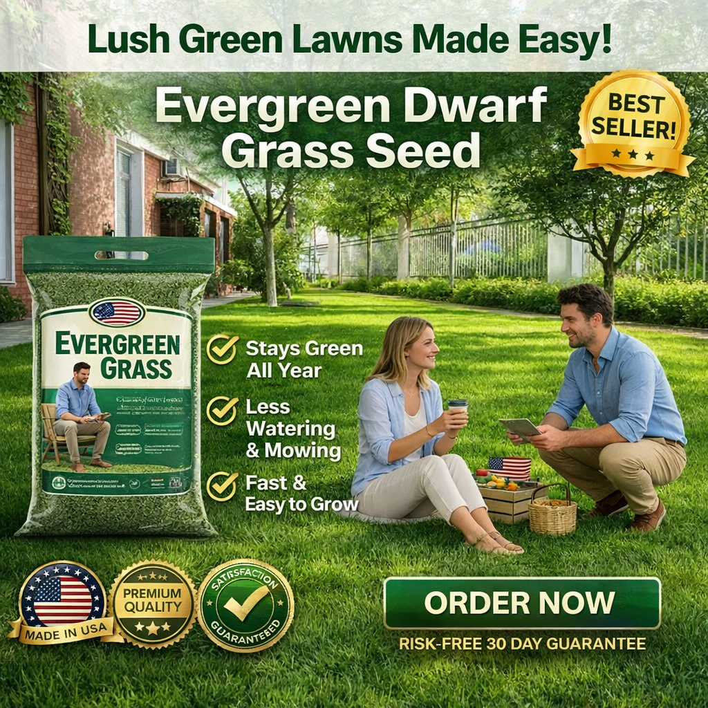 /69e9d6a5ce4a64000aa53c2b/2026/04/27/product-img-69ef493ef3feac0736a8a864.png