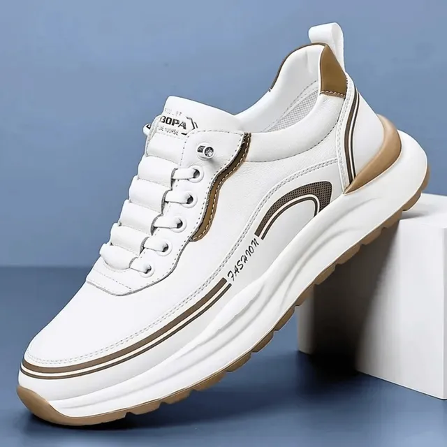 /69e9d6a5ce4a64000aa53c2b/2026/05/01/product-img-69f4aa81f3feac0736a9c1ab.png