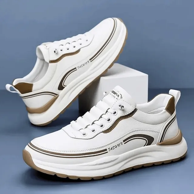 /69e9d6a5ce4a64000aa53c2b/2026/05/01/product-img-69f4aa81f3feac0736a9c1af.png