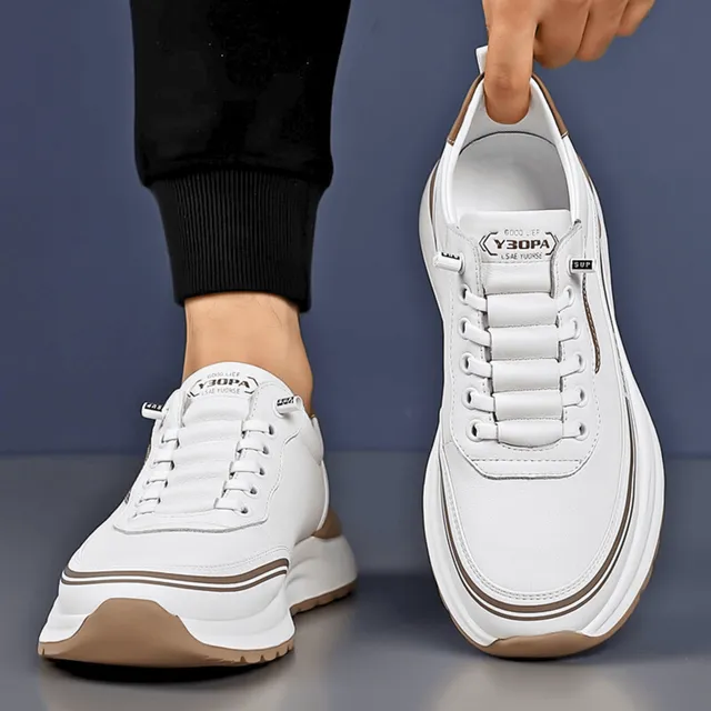 /69e9d6a5ce4a64000aa53c2b/2026/05/01/product-img-69f4aa81f3feac0736a9c1b1.png