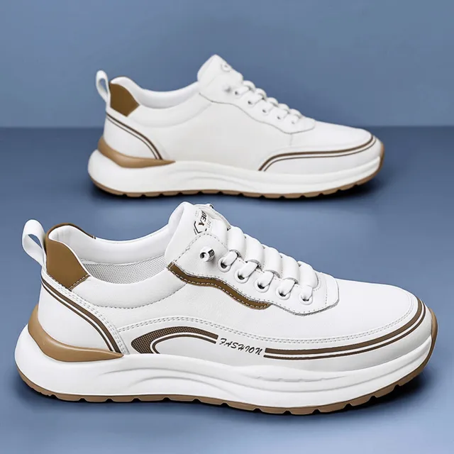 /69e9d6a5ce4a64000aa53c2b/2026/05/01/product-img-69f4aa81f3feac0736a9c1b2.png
