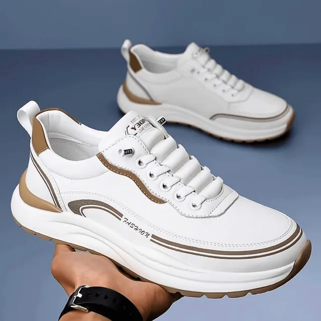 /69e9d6a5ce4a64000aa53c2b/2026/05/01/product-img-69f4aa81f3feac0736a9c1b3.png